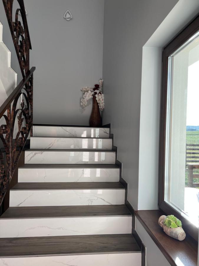 באיה מארה Casa Cu Flori Maramures מראה חיצוני תמונה