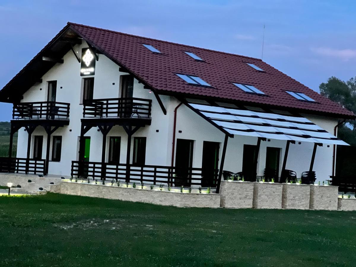 באיה מארה Casa Cu Flori Maramures מראה חיצוני תמונה