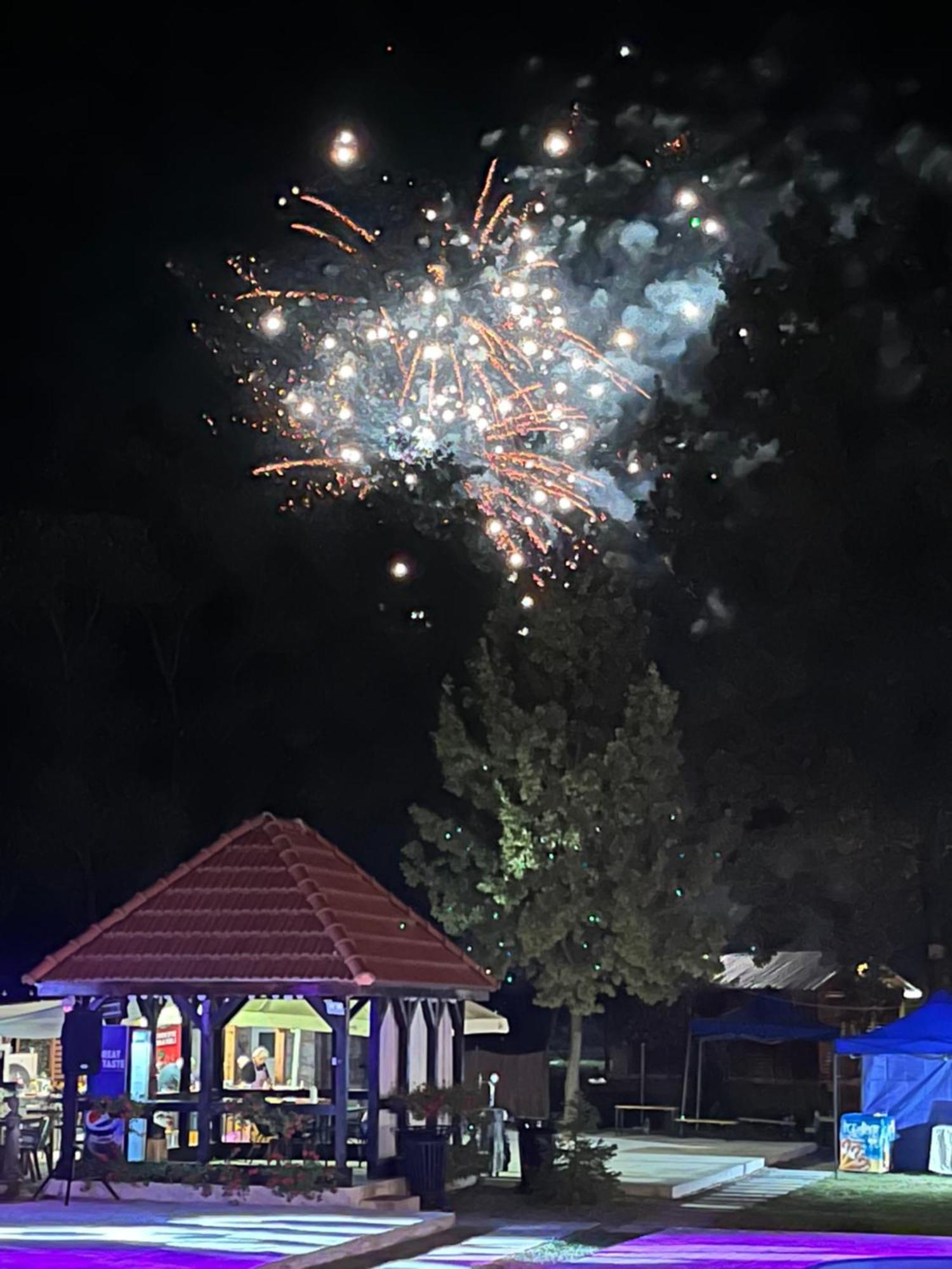 באיה מארה Casa Cu Flori Maramures מראה חיצוני תמונה